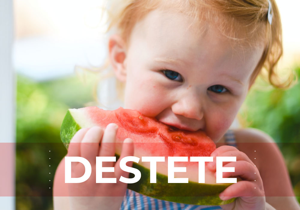 Destete: todo lo que debes saber