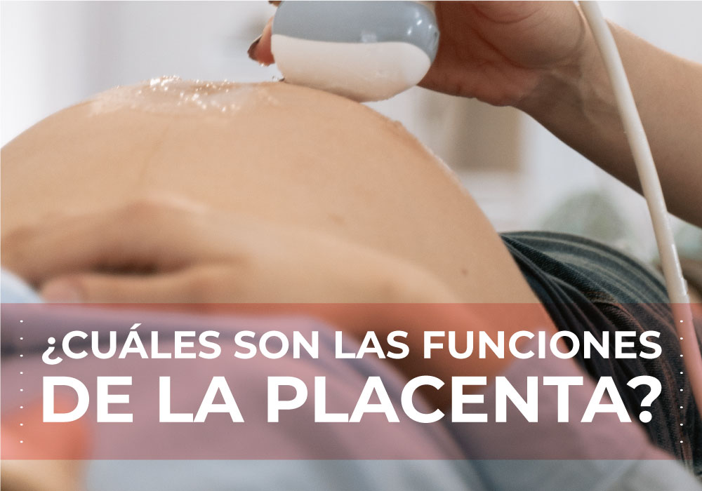 ¿Cuáles son las funciones de la placenta? 