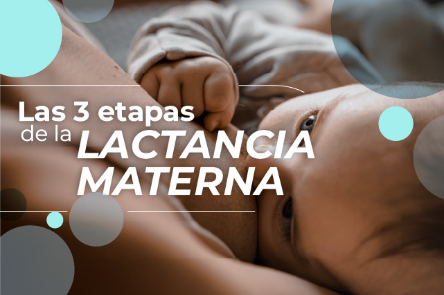 Las 3 Etapas de la Lactancia Materna